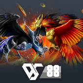 Sabong - Premium Online Cockfighting Experience